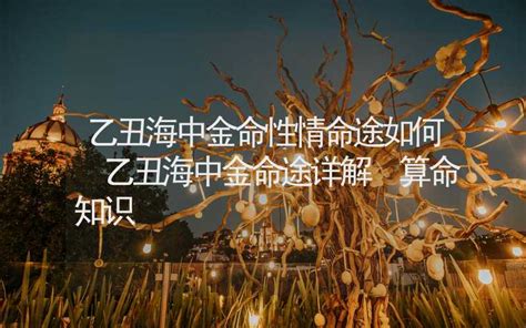 海中金女命|五行命理，海中金命（甲子、乙丑）详解